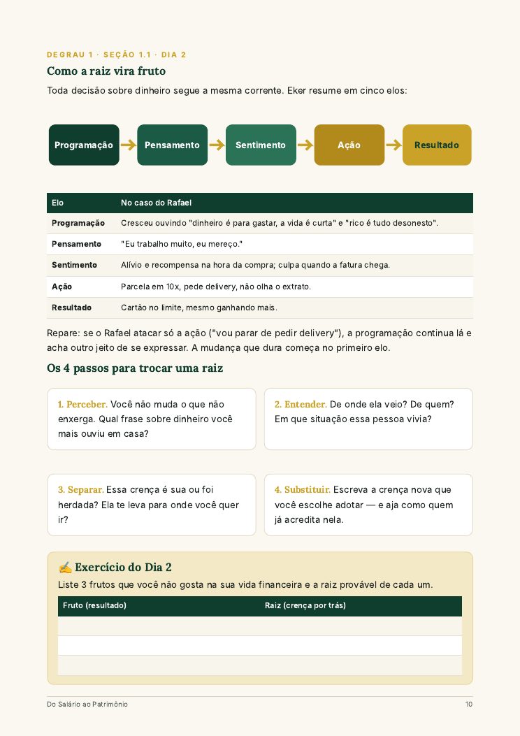 Como a raiz vira fruto